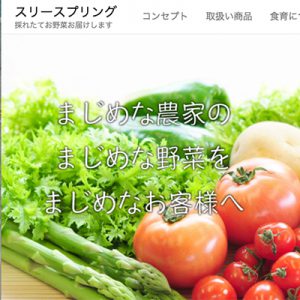 株式会社スリースプリング,新鮮野菜の直送・卸し売り